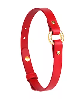 Orgasmic O-ring Choker