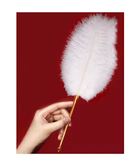 Flirty Feather Tickler