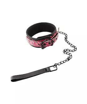 Owned Pyramid Pattern Collar and Leash