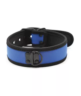 Plesur Neoprene Puppy Collar - Blue