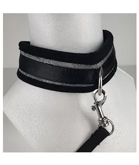 Spartacus Collar & Leash - Neoprene Silver