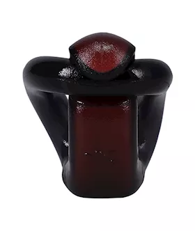 Firmtech Performance Cock Ring