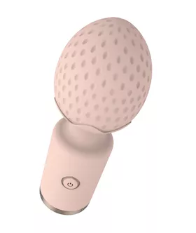 Sweet Strawb Wand Vibrator