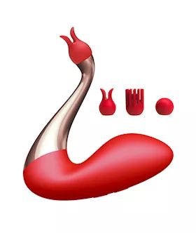 Swan Interchangeable Dual Vibrator
