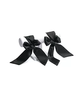 Bawdy 8 Piece Beginner's Bondage Set