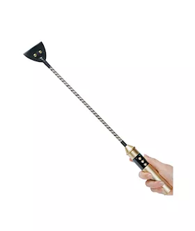 Passionate Electric Whip