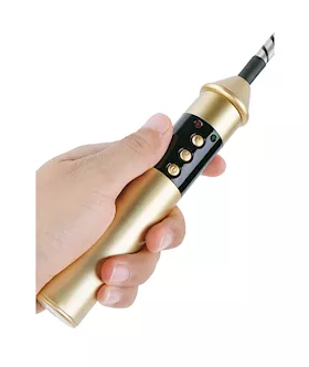 Passionate Electric Whip