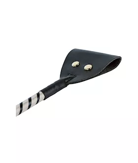 Passionate Electric Whip