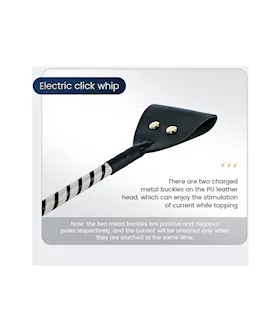 Passionate Electric Whip