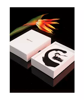 Single Handcuff With Chain