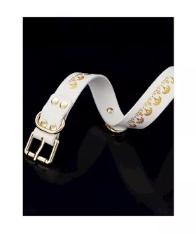 Egyptian Bondage Set