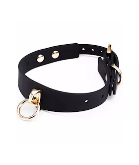Silicone Collar With Leash