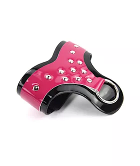 Collar And Mittens Restraint Set