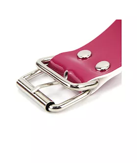 Collar And Mittens Restraint Set