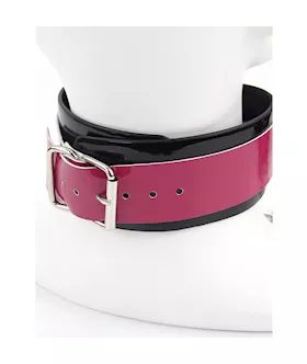 Collar And Mittens Restraint Set