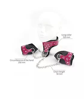 Collar And Mittens Restraint Set