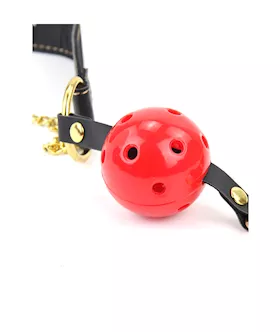 Ball Gag With Nipple Clamps