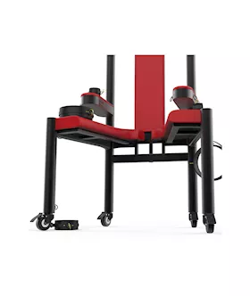 Double Power Torture Chair