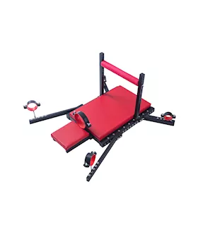 Locked And Loaded Restraint Bench