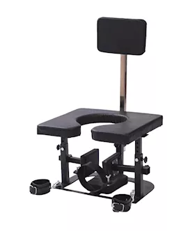 Command Throne Restraint Chair