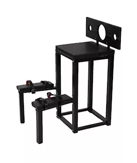 Stockade Bondage Chair