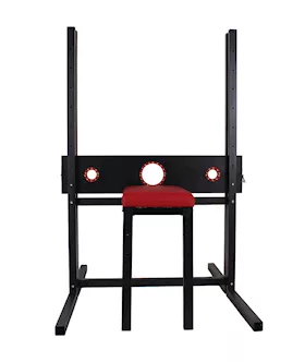 Sentinel Pillory Bondage Seat