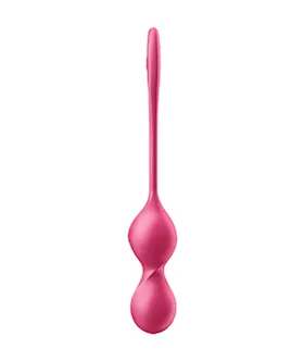 Satisfyer Love Birds 2 Connect App