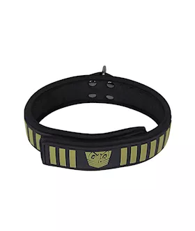 Fort Troff Tactical Collar & Leash