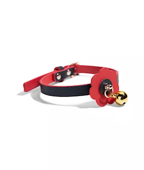 Frost Collar And Leash