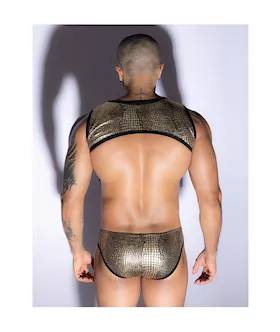 Golden Snake Top And Underwear Set