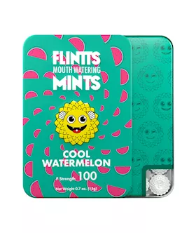 Flintts Mouth Watering Mints - Cool Watermelon