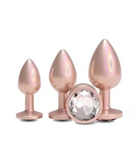 Rear Assets Anal Trainer Kit