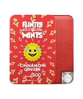 Flintts Mouth Watering Mints  Cinnamon Ginger