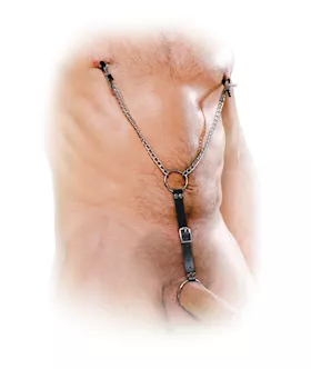 Ff Nipple Clamps & Cockring Set