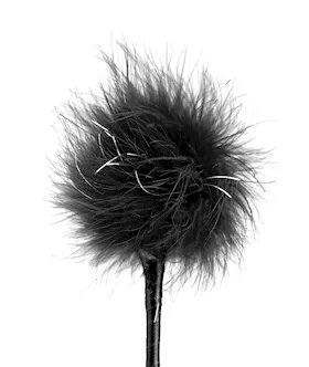 Ff Feather Crop Black