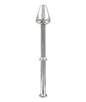 Stainless Steel Anal Spear