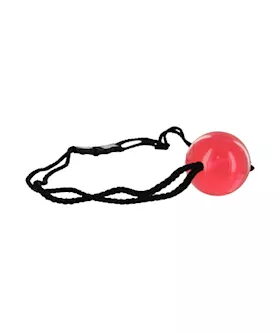Apprentice Ball Gag