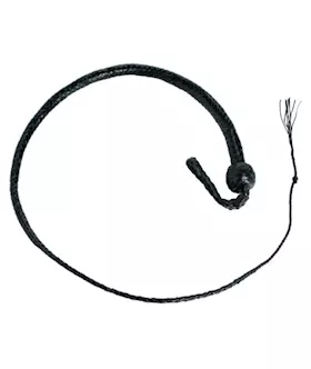 3 Foot Snakewhip 12 Plait