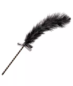 Frisky Feather Tickler