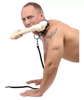 Bad Dog Leash And Spiked Collar Kit