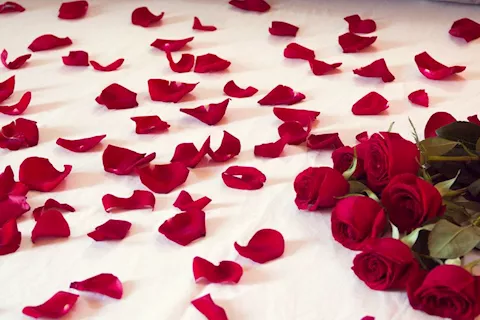 Romantic Sex Toys to Set the Mood