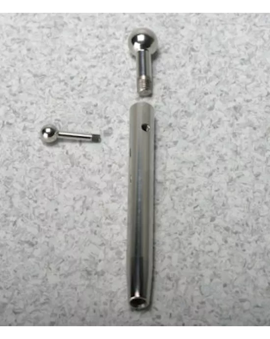 Prince Alberts Wand