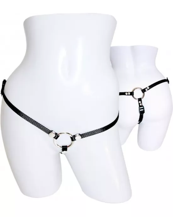 Bare As You Dare Harness