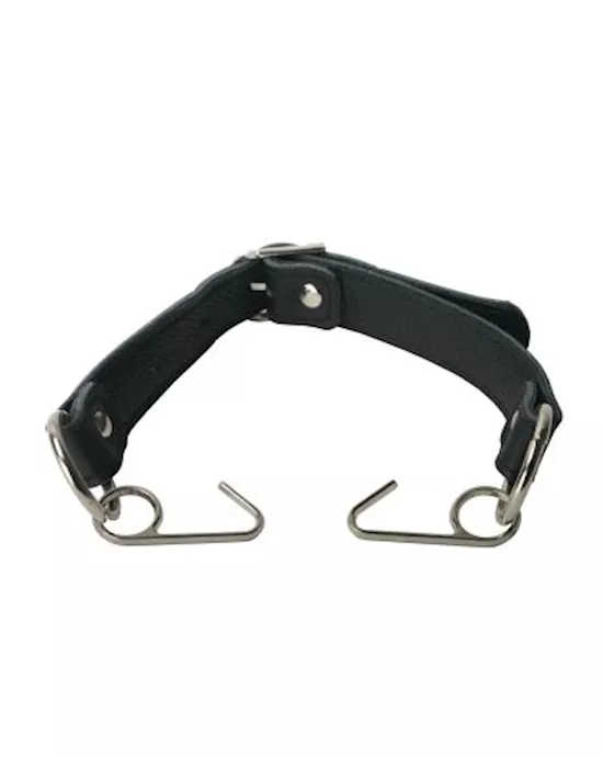Mouth Hook