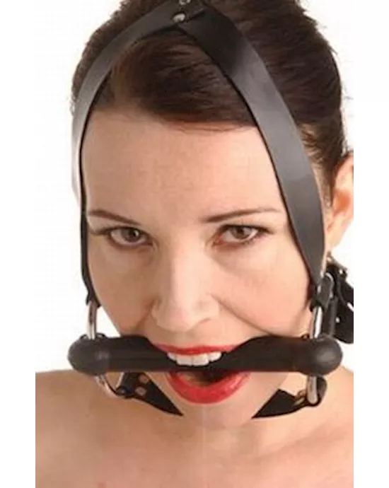 Strict Leather Locking Silicone Trainer Bit Gag