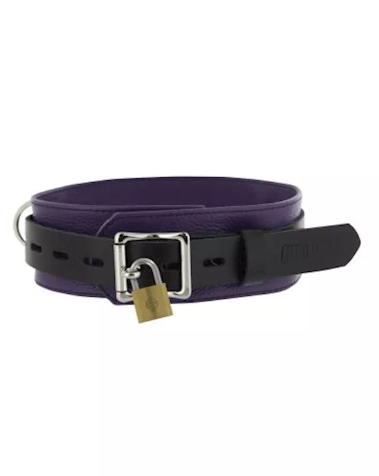 Strict Leather Deluxe Locking Collar