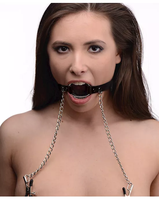 Seize O-Ring Gag with Nipple Clamps