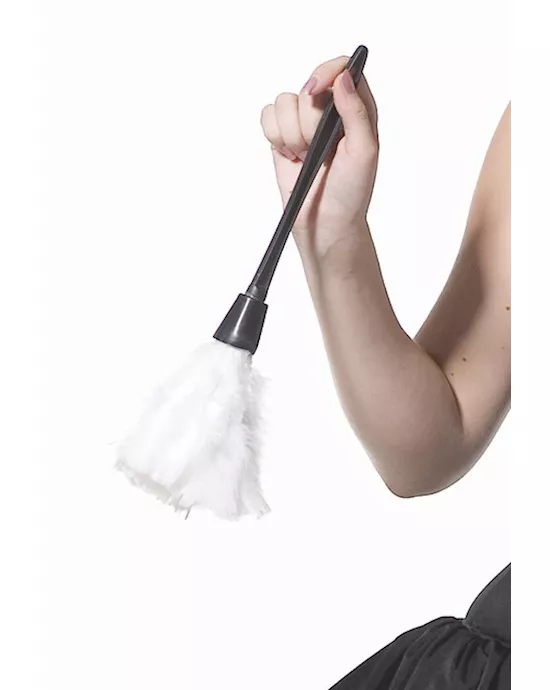 Feather Duster