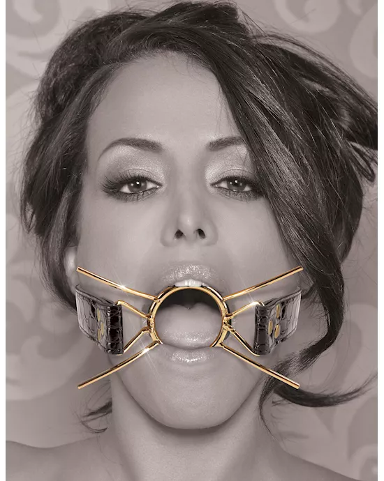Fetish Fantasy Deluxe Spider Gag