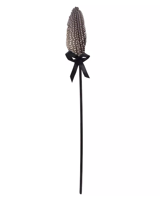 Fetish Fantasy Limited Edition Love Feathers